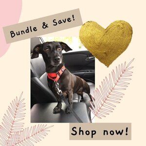 Bundle and Save